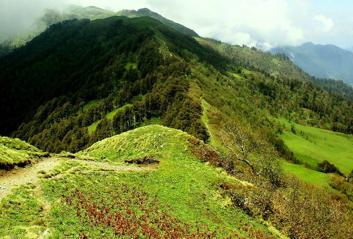 Dehradun